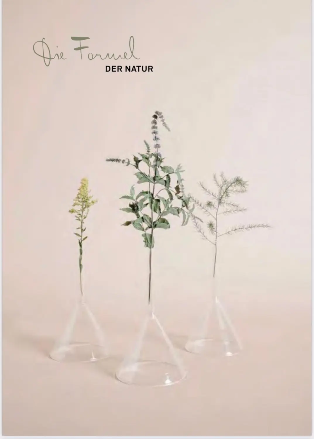 VT Natural Skincare & Beauty – Flyer